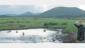 [제주]제주 신화 ‘설문대할망’ 테마공원 세운다