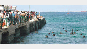 ‘꼬마 잉어’는 쉼없이 자맥질을 한다, 한 닢을 구걸하려…