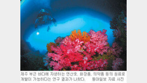 [제주]“제주 연산호, 미백-피부질환 개선 화장품 활용”