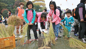 [강원]주말，떠나요/23∼25일 엑스포타운 일대