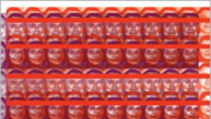 [인문사회]정치-경제학에 감정이 중요한 이유는… ‘감정과 사회학’