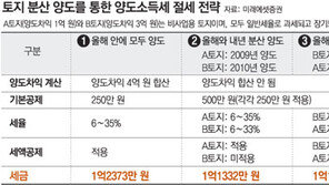 [맞춤 재테크]“차익 큰 땅 올해, 차익 작은 땅 내년에 팔아라”