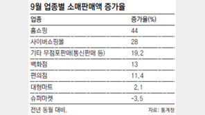 신종플루 때문에… 홈쇼핑-온라인쇼핑 매출 사상 최대