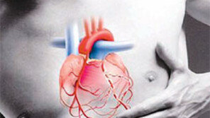[헬스&뷰티]한국인 사망원인 2위… 심혈관질환 ‘5가지 상식’ 알고 있나요?