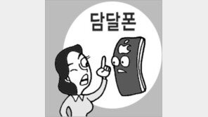 [횡설수설/홍권희]‘담달폰’