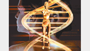 [인문사회]31억개 인간유전자 서열은 神의 설계도