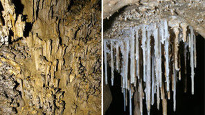 [강원]정선 산호동굴-평창 섭동굴 천연기념물로 지정