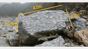 [강원]정선 30t바위 “대전으로 이사해요”