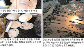 [인문사회]갯벌, 자연과 사람의 맛있는 만남