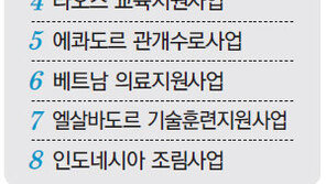 [2010 대한민국이 뛴다]<1>탄자니아 식수개발사업