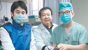 [강원]우리 대학 스타/강원대 야생동물구조센터장 김종택 교수