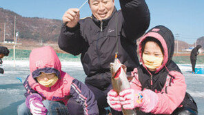[강원]주말, 떠나요!/평창 대관령 눈꽃축제·인제 열목어축제 내일 개막