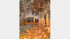 [제주]제주 ‘거문오름 용암동굴계’ 내달 학술조사