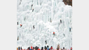 [강원]주말，떠나요!/‘국내최대 인공 빙벽’ 상품권이 입장권