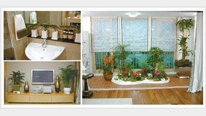 [헬스&뷰티]집안 여기저기 파릇파릇… 식물이 있는 집=건강한 집