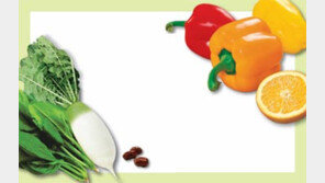 [헬스&뷰티]채소과일로 건강한 1년을(상)