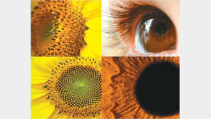 [헬스&뷰티]이성진 교수의 아이러브 eye