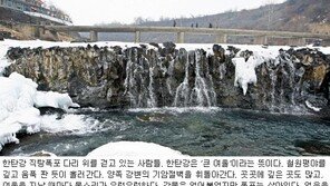 [김화성 전문기자의 &joy]철원 한탄강 궁예길(DMZ 두루미길) 걷기