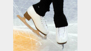 김연아 스케이트 가격은