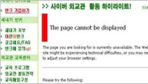 한일 누리꾼 사이버 대전 