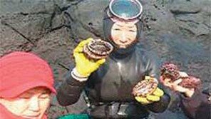 [제주]제주 자연산 전복 멸종위기 종묘방류 3개 공동어장