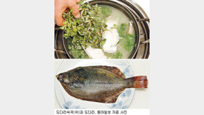 [아하, 이맛!]혀끝에 봄이 사르르… 통영의 ‘봄 맛’