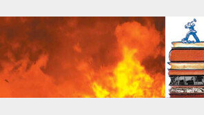 [인문사회]종교-이념-민족… 책을 불사르다