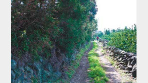 [제주]“17.8km 해안절경” 제주올레 16코스 주말 개장