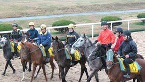 [제주]“말 함께 타며 기수들 애로사항 들어요”
