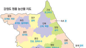 [강원]강원 농산물 명품화 전국 공략