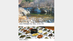 [강원]차령산맥을 따라서<2>오대산