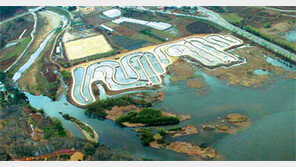 [수도권]죽었다 깨어난 경안천… 철새도 새 둥지