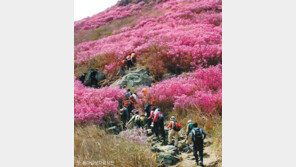 [헬스&뷰티]아스피린이 등산필수품?