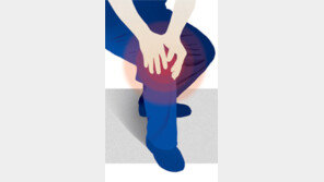 [헬스&뷰티]“구부렸다 폈다 종일 집안일, 집사람 무릎 괜찮을까…”