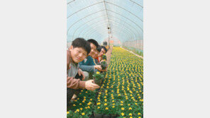 [수도권]“꽃 키우며 몸과 마음도 치료해요”