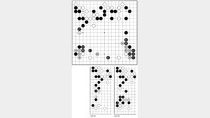 [바둑]제53회 국수전… 피할 수 없는 독배