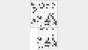 [바둑]제53회 국수전… 타협의 속내