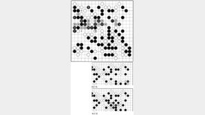 [바둑]제 53회 국수전…악전고투