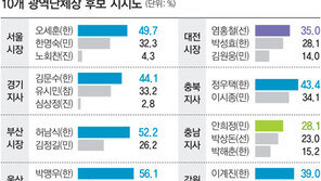 [여론조사/6·2 지방선거 D-16]광역단체장 판세<1부>