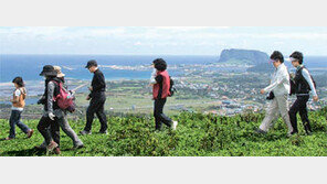 [제주]제주 올레길, 40대들 친구와 함께 가장 많이 이용