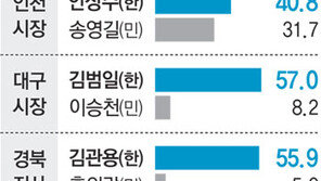 [여론조사/6·2 지방선거 D-15]16개 시도지사 판세 <2부>