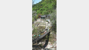 [강원]차령산맥을 따라서<6>치악산