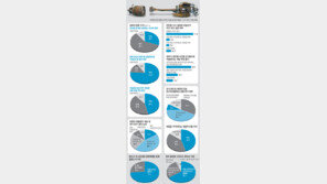 [여론조사/6·2지방선거 영향]“지지후보 결정에 영향 안미쳐” 71%