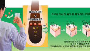 [헬스&뷰티/아하, 이약!]먹는 탈모치료제 ‘프로페시아’