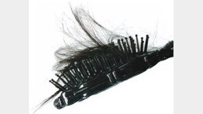 [헬스&뷰티]탈모의 진실과 오해 얼마나 아세요