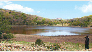 [제주]한라산 새 등산코스 2곳 연다