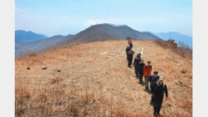 [강원]차령산맥을 따라서<7>십자봉
