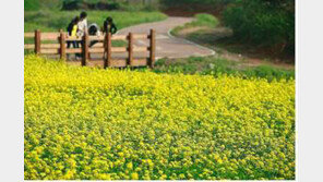 [수도권]“수도권매립지에 핀 야생화 구경오세요”