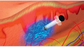 [헬스&뷰티]헬스캡슐 