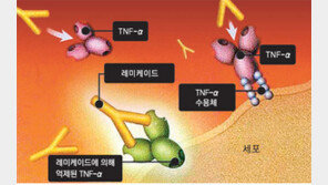 [헬스&뷰티/아하, 이약!]자가면역질환 치료제 레미케이드